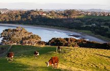 Auckland Hidden gem Tour 