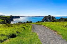 Auckland Hidden gem Tour 