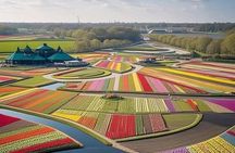 Tulips and Windmills Skip the Line Private Tour from Amsterdam