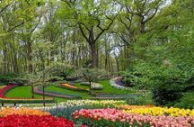 Tulips and Windmills Skip the Line Private Tour from Amsterdam