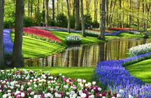 Tulips and Windmills Skip the Line Private Tour from Amsterdam