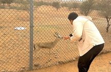 Sunset Edge of The World & Gazelle Reserve 4x4 Adventure: Riyadh