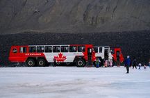 Columbia Icefield Adventure, Mistaya Canyon & Peyto Lake Day Tour
