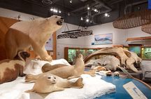 Fairbanks Top City Highlights Tour