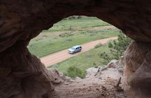 Wildlife and Iconic Roads: The Black Sheep Tour