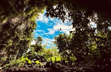 Discover Tahiti in Shared Circuit 