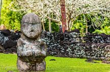 Discover Tahiti in Shared Circuit 