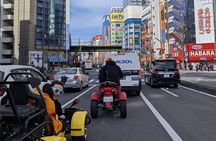 Go Karting Tokyo Old Town Experience | 8 Destinations in 100 Mins