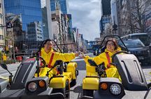Go Karting Tokyo Old Town Experience | 8 Destinations in 100 Mins