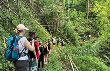 From Chiang Rai Jungle Adventure Group Trekking Bamboo Cooking