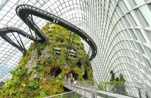 Private Night Tour : Garden by the Bay, River Cruise & Light Show