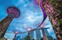 Private Night Tour : Garden by the Bay, River Cruise & Light Show