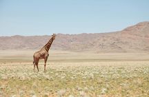 3 Day Private Mara Migration Safari Experience