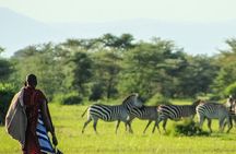 3 Day Private Mara Migration Safari Experience