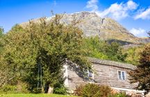 Cider Tour - Hardanger