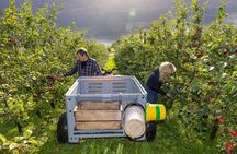 Cider Tour - Hardanger