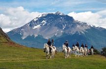 Traditional Patagonian Ranch (estancia) Day Tour Puerto Natales 