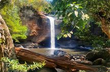 Khao Yai Waterfalls and Wilderness Private Chartered Tour