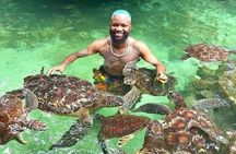 Full Day: Mnemba Island, Seafood, Natural Aquarium & Sunset Beach