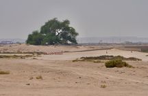Manama Day from South to North to Discover Bahrain