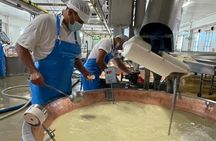 Parma Parmigiano + Ham & Wine Private Tours. Including Tastings! 