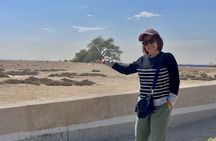Manama : Day from South to North to Discover Bahrain