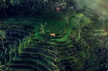 Private Day Trip Bali Rafting, Monkey Forest and Waterfall