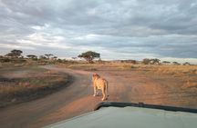 Private 6 Day Arusha Adventure Tour by 4WD