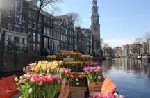 Amsterdam: Exclusive Tulip Tour Canal Cruise