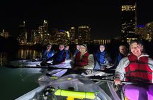 Private Clear Kayak Tour on Lady Bird Lake in Austin, Texas