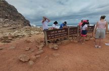 Private Tour : Cape of Good Hope,Penguin Colony& Muizenberg Beach