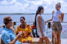 Charlotte Harbor: Dolphin Discovery Day Cruise