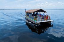 Charlotte Harbor: Dolphin Discovery Day Cruise