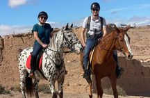Horse Riding by Black Stallion Marrakech