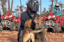 Quad Bike Tour in Marrakech's Palmeraie Desert with Hotel Pick up