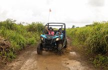 Off-Road UTV Tour : Explore Puerto Rico minutes from San Juan 