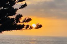 Private Tour : Cape of Good Hope,Penguin Colony& Muizenberg Beach