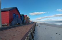 Private Tour : Cape of Good Hope,Penguin Colony& Muizenberg Beach