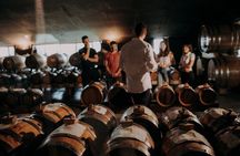 Wine and Balsamic Vinegar Tour with Tasting