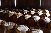 Wine and Balsamic Vinegar Tour with Tasting