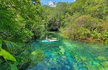4 Cenotes Eco-Park from Playa del Carmen