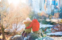  VIP Central Park Experience Tour with photos 50min~Skip the line