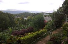 Ahhh Rasnatango Gallery and Garden