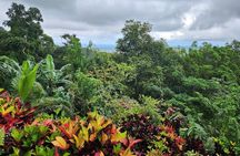 Ahhh Rasnatango Gallery and Garden