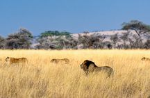 7 Days 6 Nights Wildlife Safari