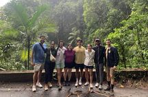 Tijuca Rainforest Waterfalls, Wildlife, Caves and Rio Scenic View