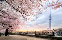 Tokyo Private Tour: Custom Day Tour with English-Speaking Driver