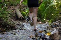 Jungle Hiking Adventure and Waterfall Swim. Nogalito Ecopark 
