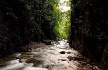 Jungle Hiking Adventure and Waterfall Swim. Nogalito Ecopark 