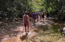 Jungle Hiking Adventure and Waterfall Swim. Nogalito Ecopark 